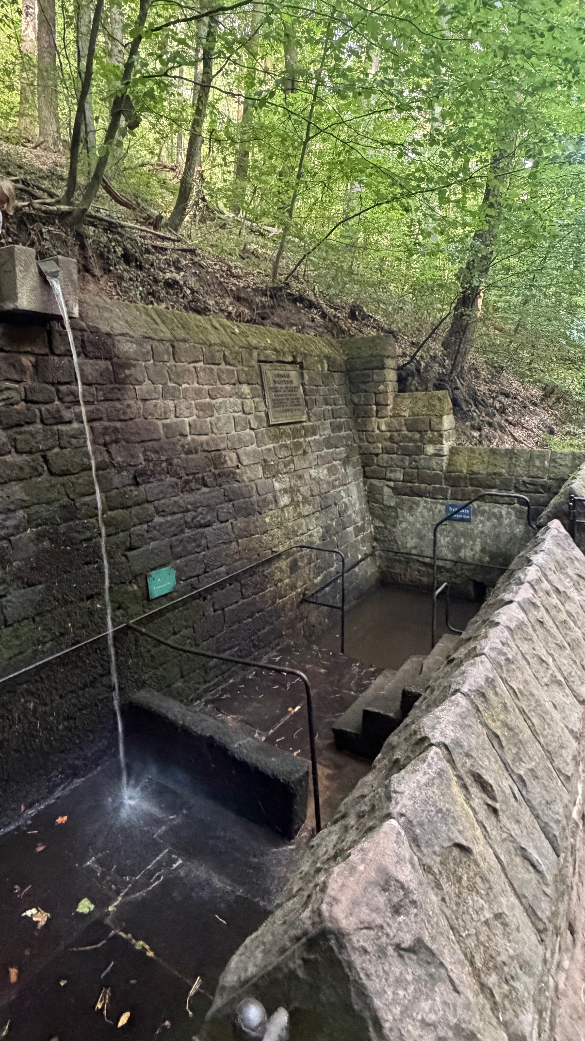 Walddusche